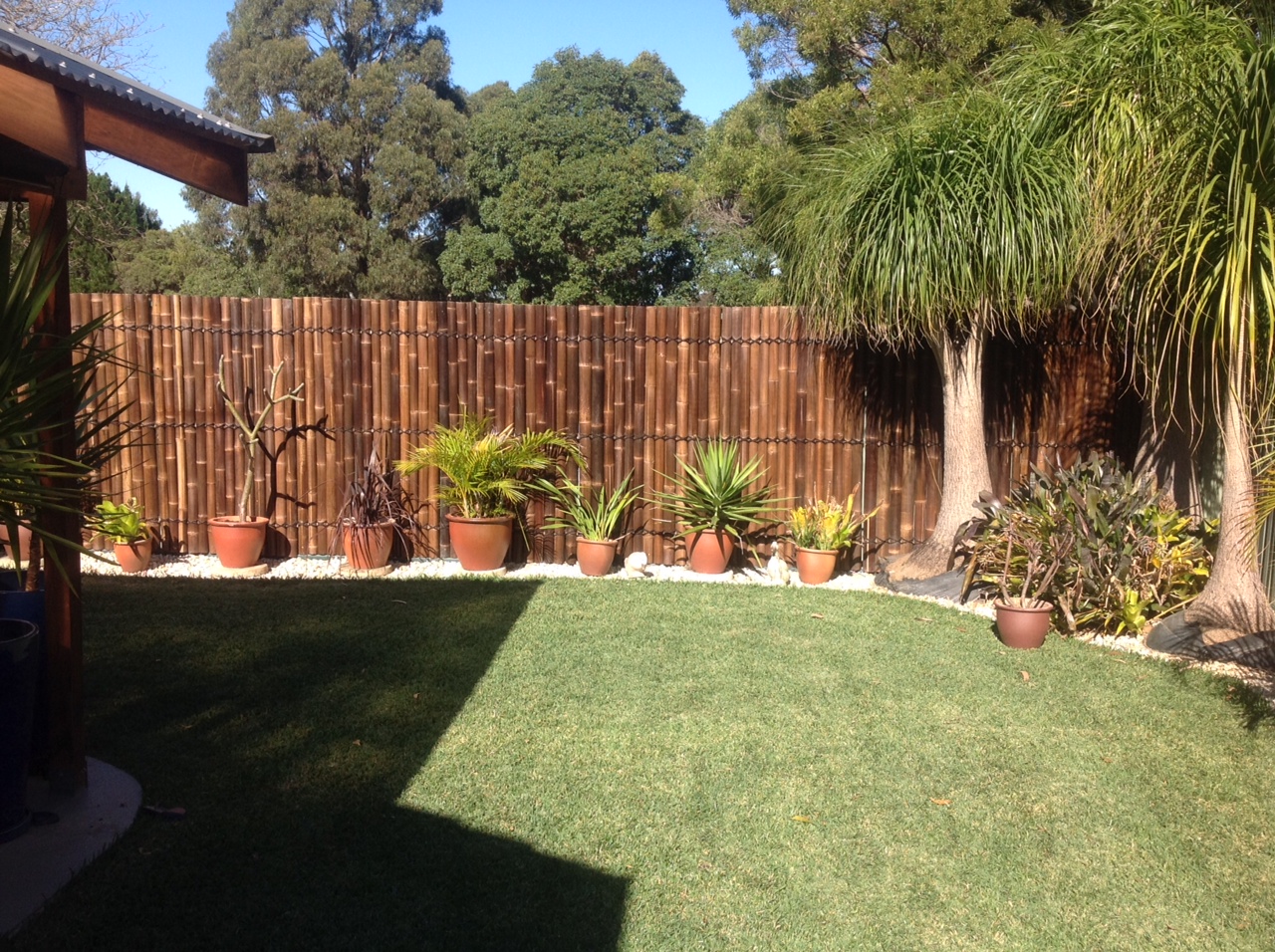 Caveman Bamboo Fencing – Eastern Creek NSW – Read Reviews